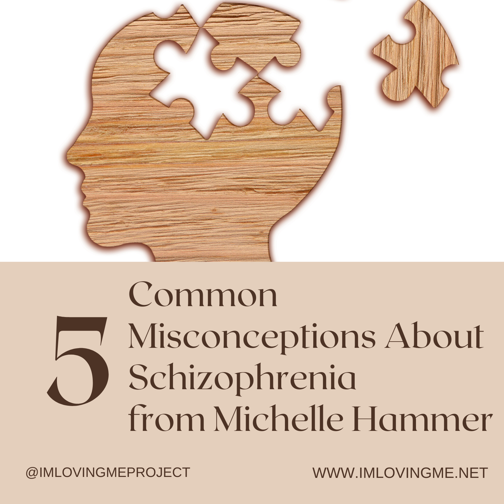 5 Common Misconceptions About Schizophrenia Self Love Conversations